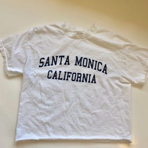 Brandy Melville Santa Monica crop top